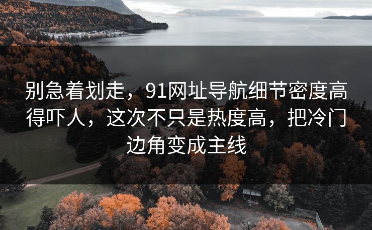 别急着划走，91网址导航细节密度高得吓人，这次不只是热度高，把冷门边角变成主线